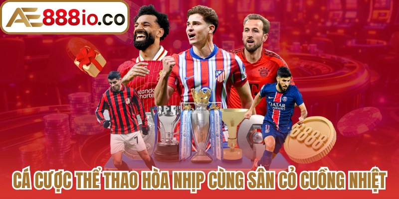 Cá cược thể thao hòa nhịp cùng sân cỏ cuồng nhiệt