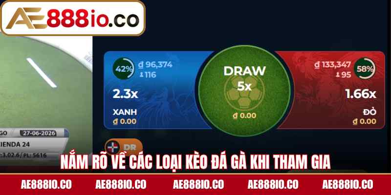 Nắm rõ về các loại kèo đá gà khi tham gia