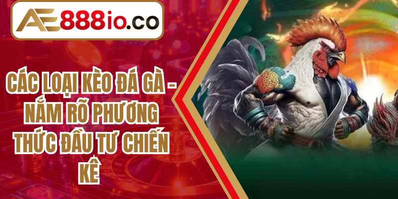 Các Loại Kèo Đá Gà – Nắm Rõ Phương Thức Đầu Tư Chiến Kê