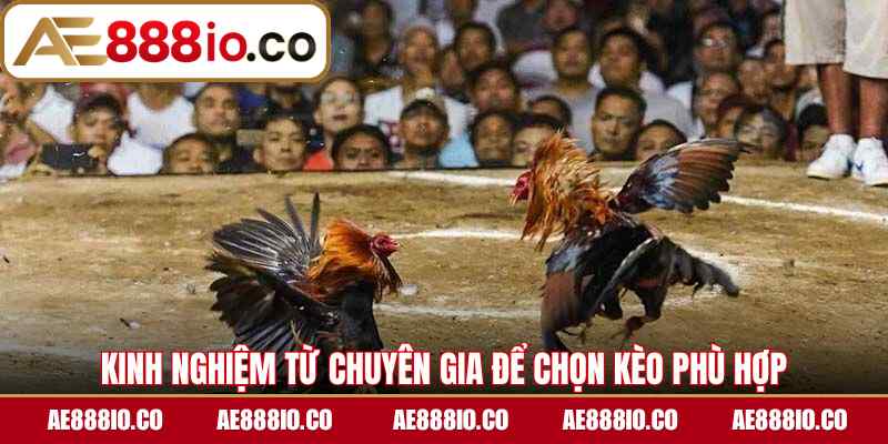 Kinh nghiệm từ chuyên gia để chọn kèo phù hợp