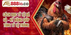 Cách đọc tỷ lệ đá gà – Kỹ Năng Giúp Tăng Tỷ Lệ Thắng