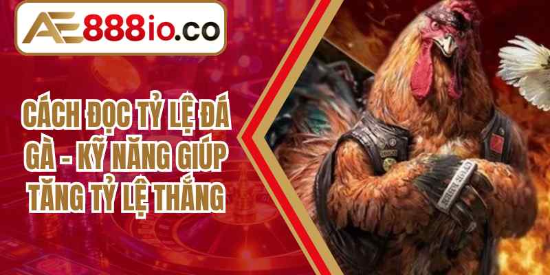 Cách đọc tỷ lệ đá gà – Kỹ Năng Giúp Tăng Tỷ Lệ Thắng