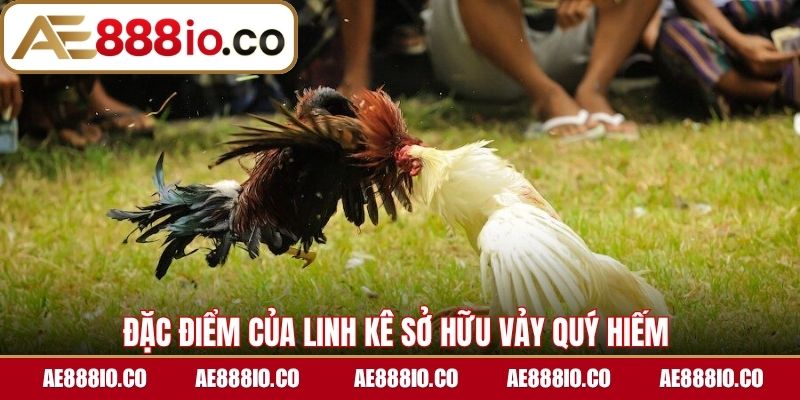 Đặc điểm của linh kê sở hữu vảy quý hiếm