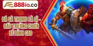Đá Gà Thomo Là Gì – Đấu Trường Chiến Kê Đỉnh Cao