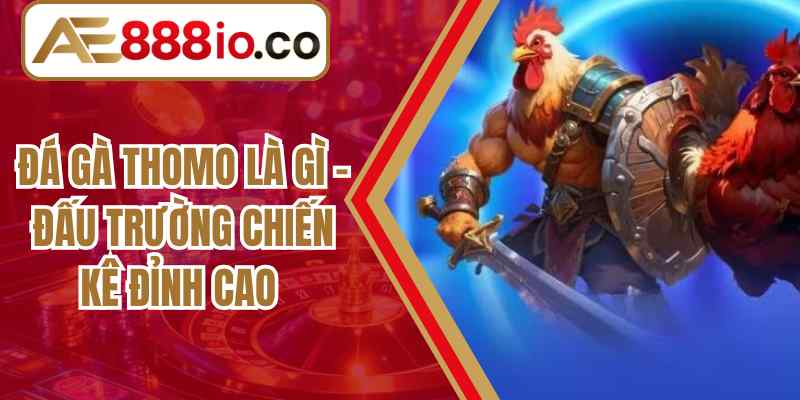 Đá Gà Thomo Là Gì – Đấu Trường Chiến Kê Đỉnh Cao