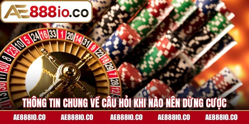 Thông tin chung về câu hỏi khi nào nên dừng cược