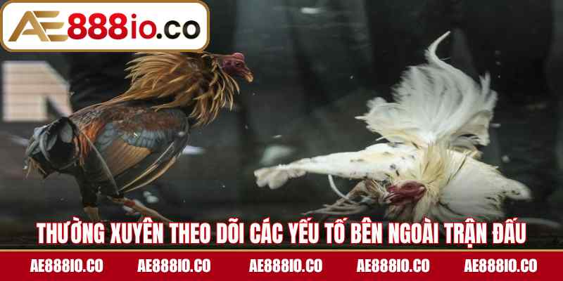 Thường xuyên theo dõi các yếu tố bên ngoài trận đấu