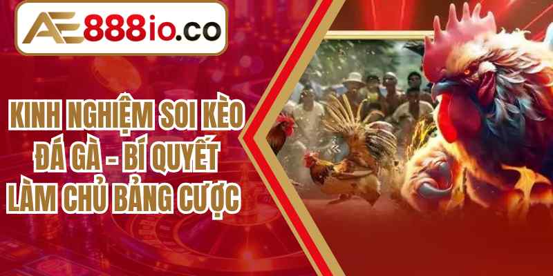 Kinh Nghiệm Soi Kèo Đá Gà – Bí Quyết Làm Chủ Bảng Cược