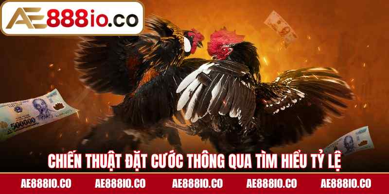 Chiến thuật đặt cước thông qua tìm hiểu tỷ lệ