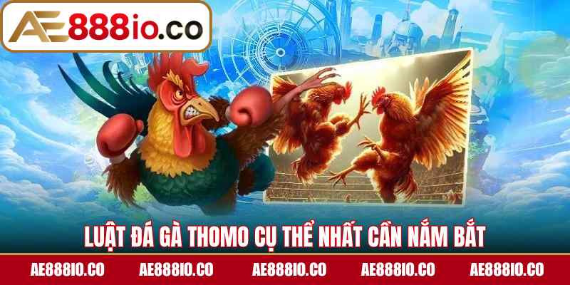 Luật đá gà Thomo cụ thể nhất cần nắm bắt