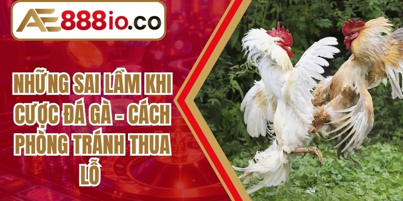 Những Sai Lầm Khi Cược Đá Gà - Cách Phòng Tránh Thua Lỗ