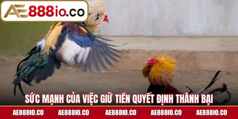 Sức mạnh của việc giữ tiền quyết định thành bại