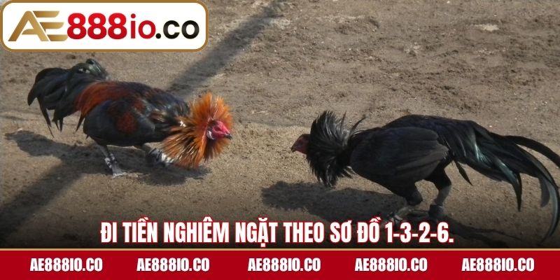 Đi tiền nghiêm ngặt theo sơ đồ 1-3-2-6 