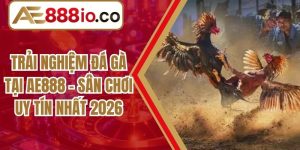 Trải Nghiệm Đá Gà Tại AE888 - Sân Chơi Uy Tín Nhất 2026