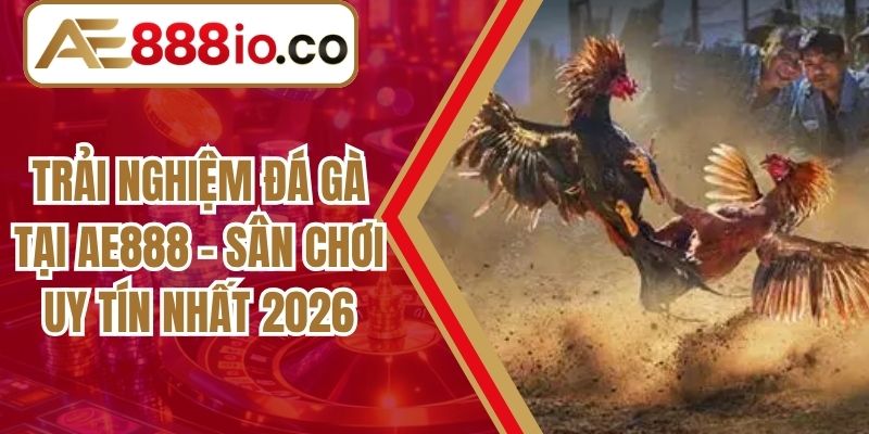Trải Nghiệm Đá Gà Tại AE888 - Sân Chơi Uy Tín Nhất 2026